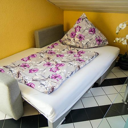 Schoenes Studio In Der Rheinebene, Zentral Gelegen Rheinstetten Exteriör bild