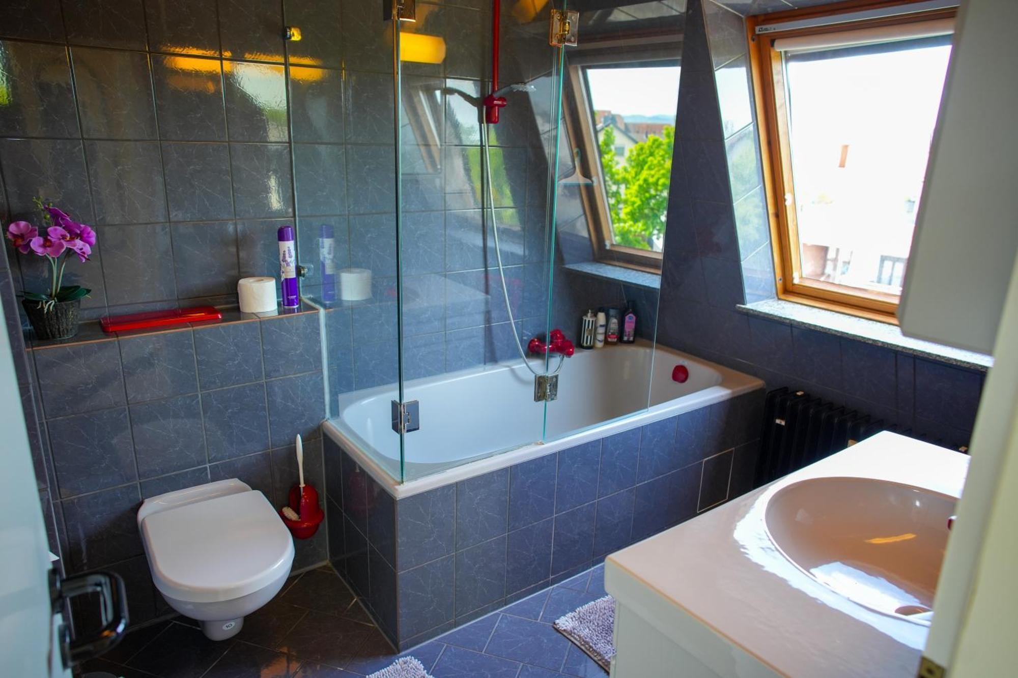 Schoenes Studio In Der Rheinebene, Zentral Gelegen Rheinstetten Exteriör bild